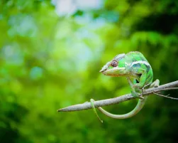 Madagascar Outlook Travel Recommends