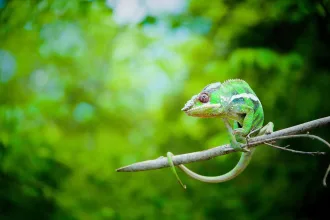 Madagascar Outlook Travel Recommends