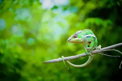 Madagascar Outlook Travel Recommends