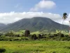 Mount-Liamuiga-MAIN