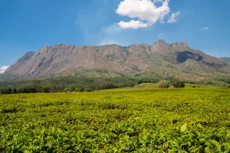 Mount Mulanje Landscape