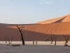 Namibia Dunes