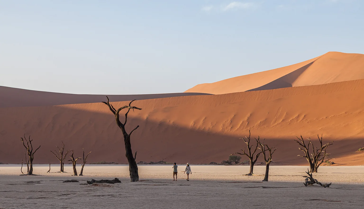 Namibia Dunes