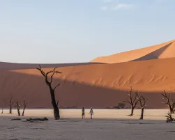 Namibia Dunes
