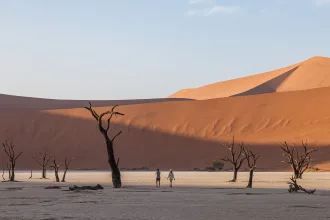 Namibia Dunes