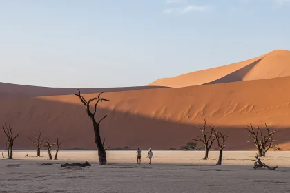 Namibia Dunes