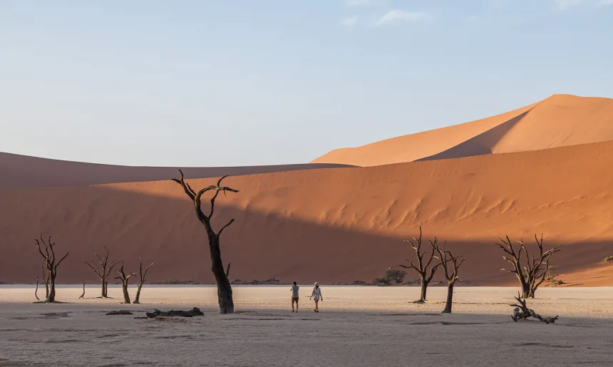 Namibia Dunes