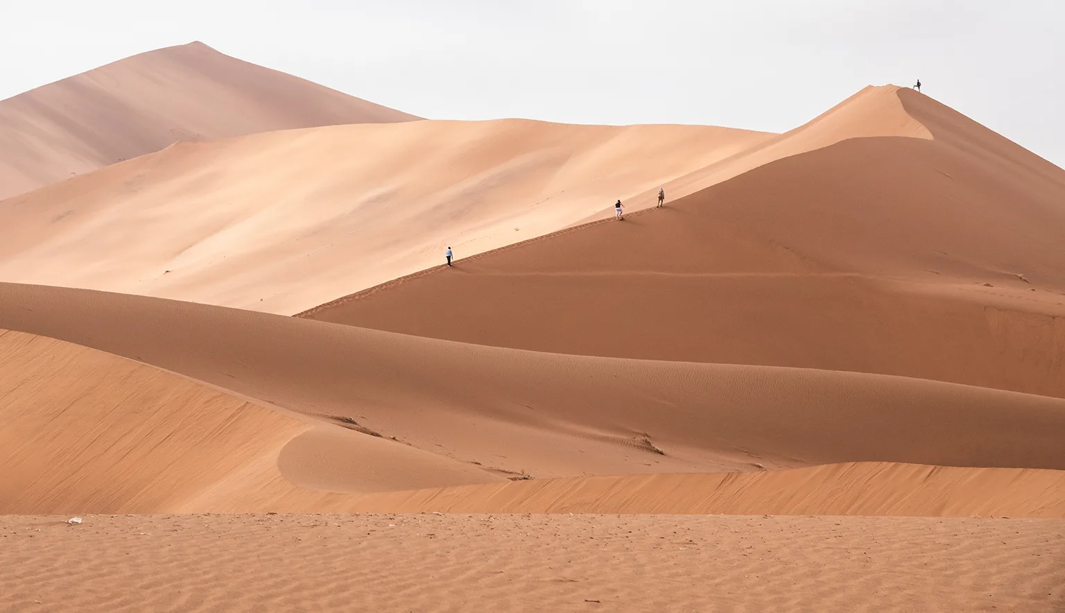 Namibia Dunes