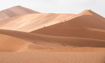 Namibia Dunes