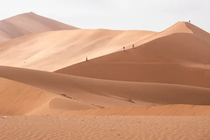 Namibia Dunes
