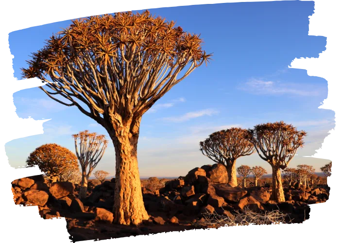 Namibia Travel Guide