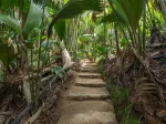 Seychelles National Botanical Gardens on the island of Praslin