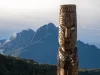 New Zealand Industry Insights Main