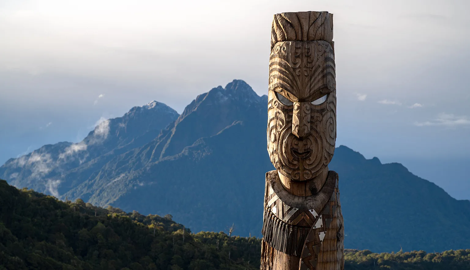 New Zealand Industry Insights Main