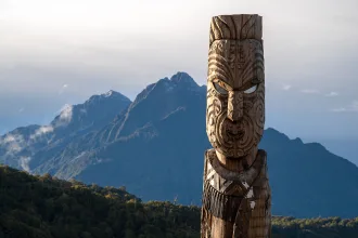 New Zealand Industry Insights Main