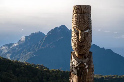 New Zealand Industry Insights Main