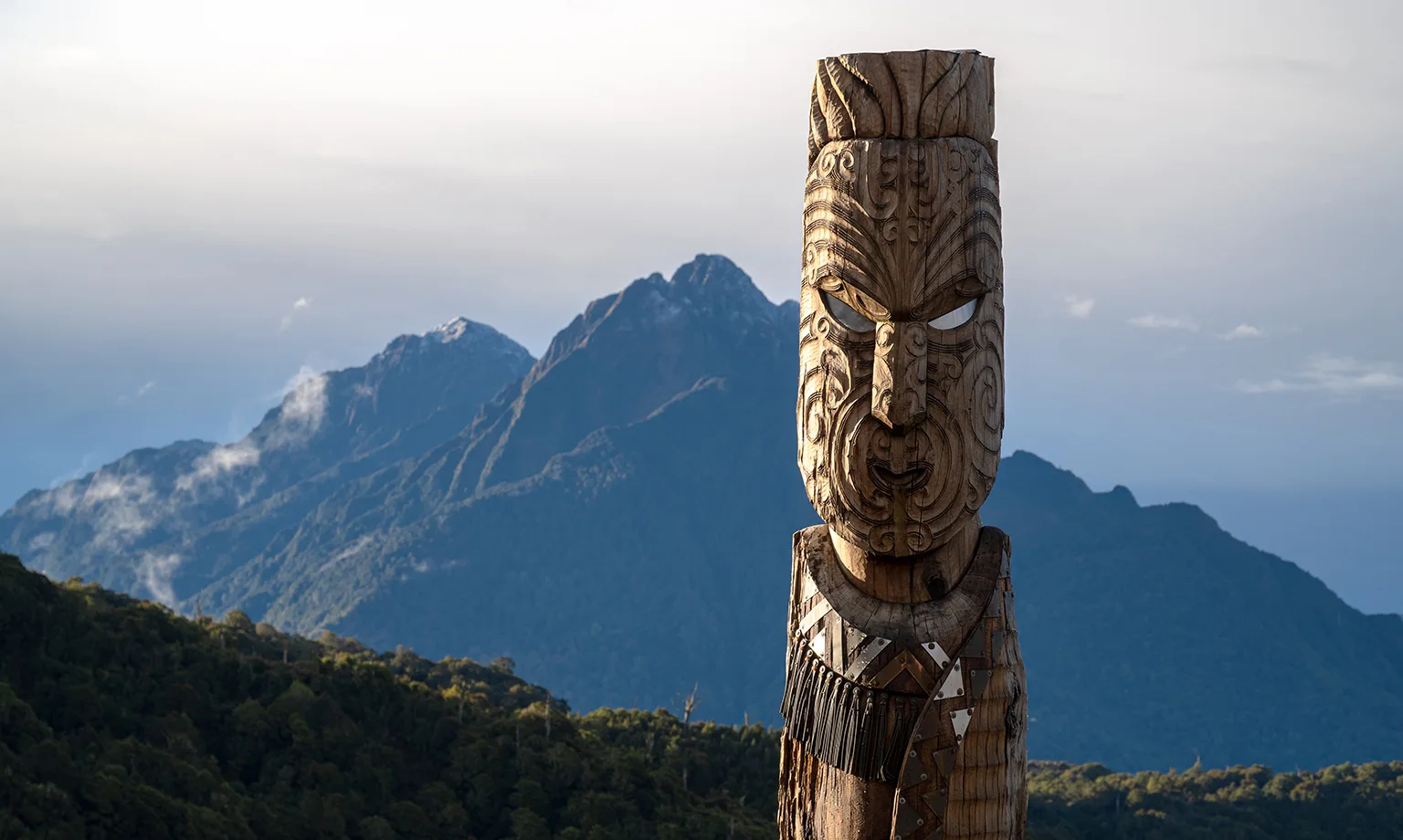 New Zealand Industry Insights Main