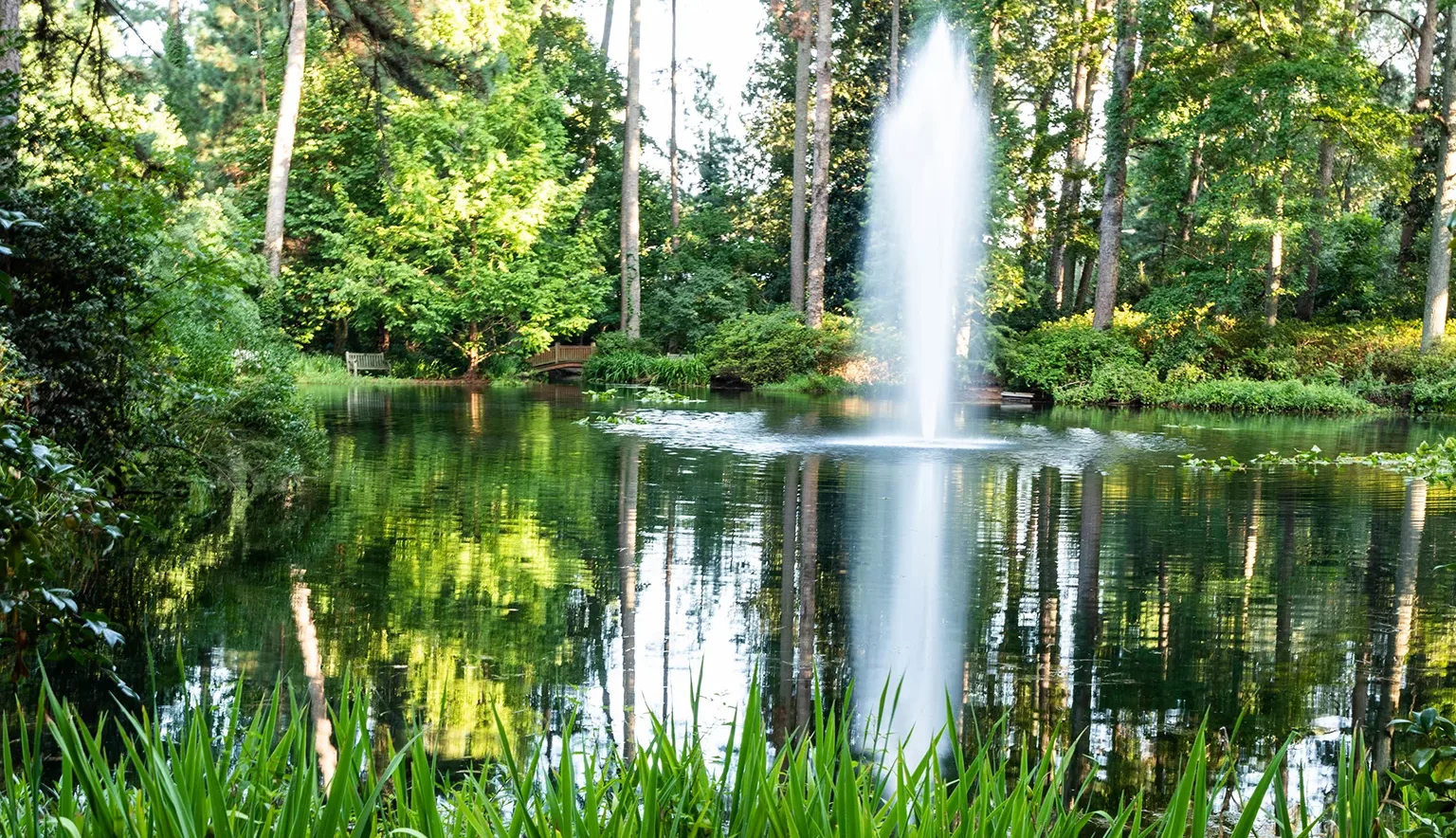 Botanical gardens in Norfolk Virginia