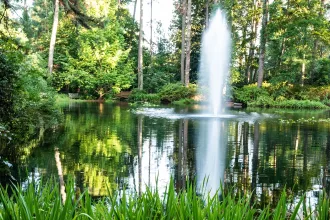 Botanical gardens in Norfolk Virginia