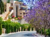 Republic of Cyprus. Pissouri Village. The road goes past floweri