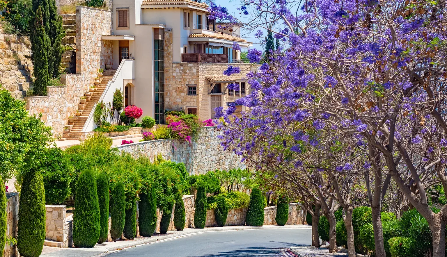 Republic of Cyprus. Pissouri Village. The road goes past floweri