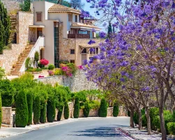 Republic of Cyprus. Pissouri Village. The road goes past floweri