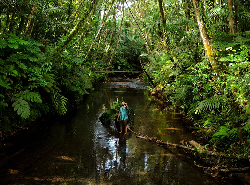 natural tourist attractions in palau