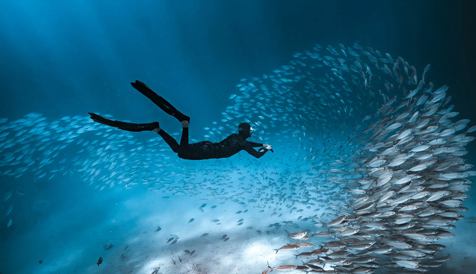 Palau ©Josh Burkinshaw