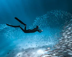 Palau ©Josh Burkinshaw