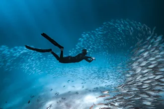 Palau ©Josh Burkinshaw