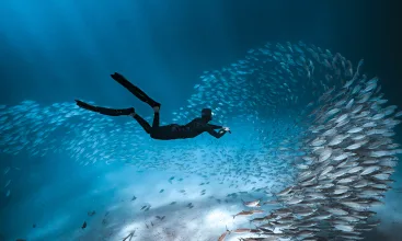 Palau ©Josh Burkinshaw