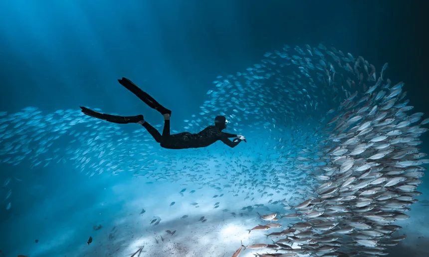 Palau ©Josh Burkinshaw