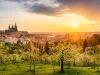 Prague 2025 OR Main