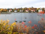 Reykjavík Pond Gunnar Freyr Gunnarsson