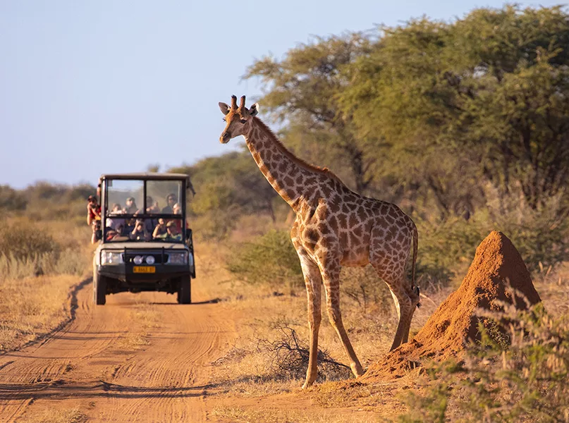 the kenya tourism board