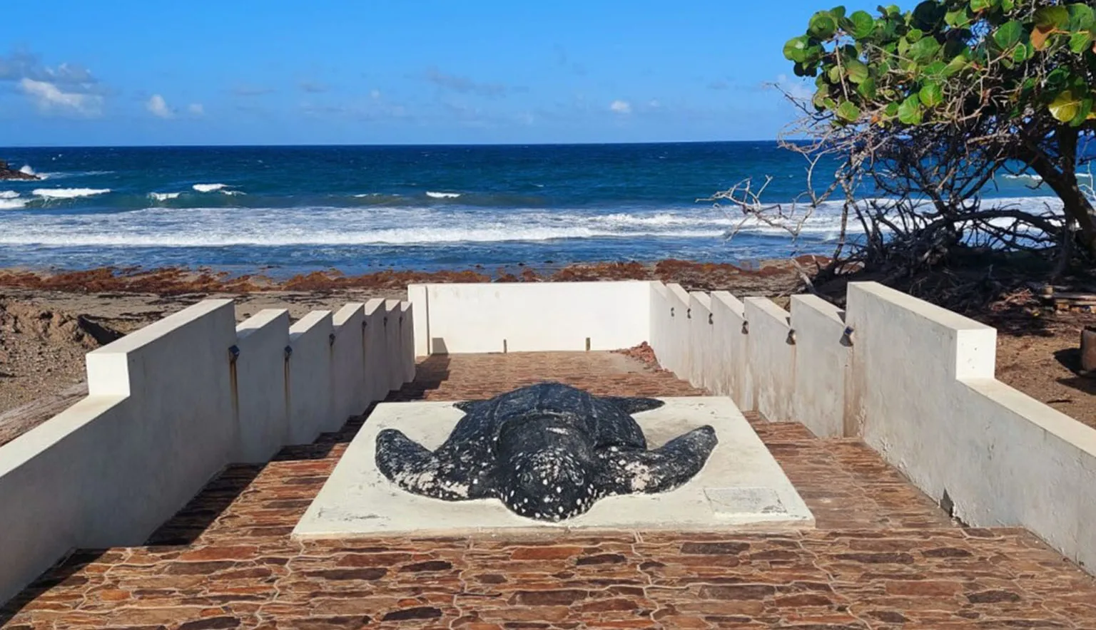 Sint Eustatius Outlook Recommends MAIN