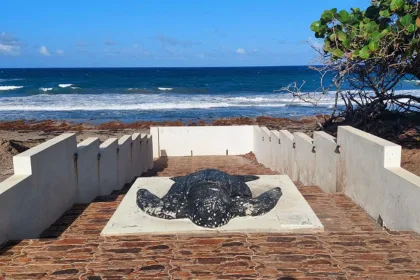 Sint Eustatius Outlook Recommends MAIN