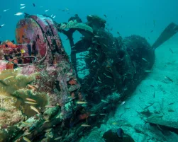 Underwater Plane Wreck in the Solomon Islands