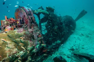 Underwater Plane Wreck in the Solomon Islands