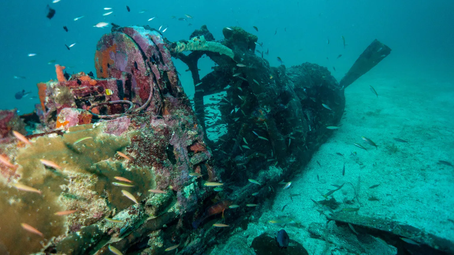 Underwater Plane Wreck in the Solomon Islands