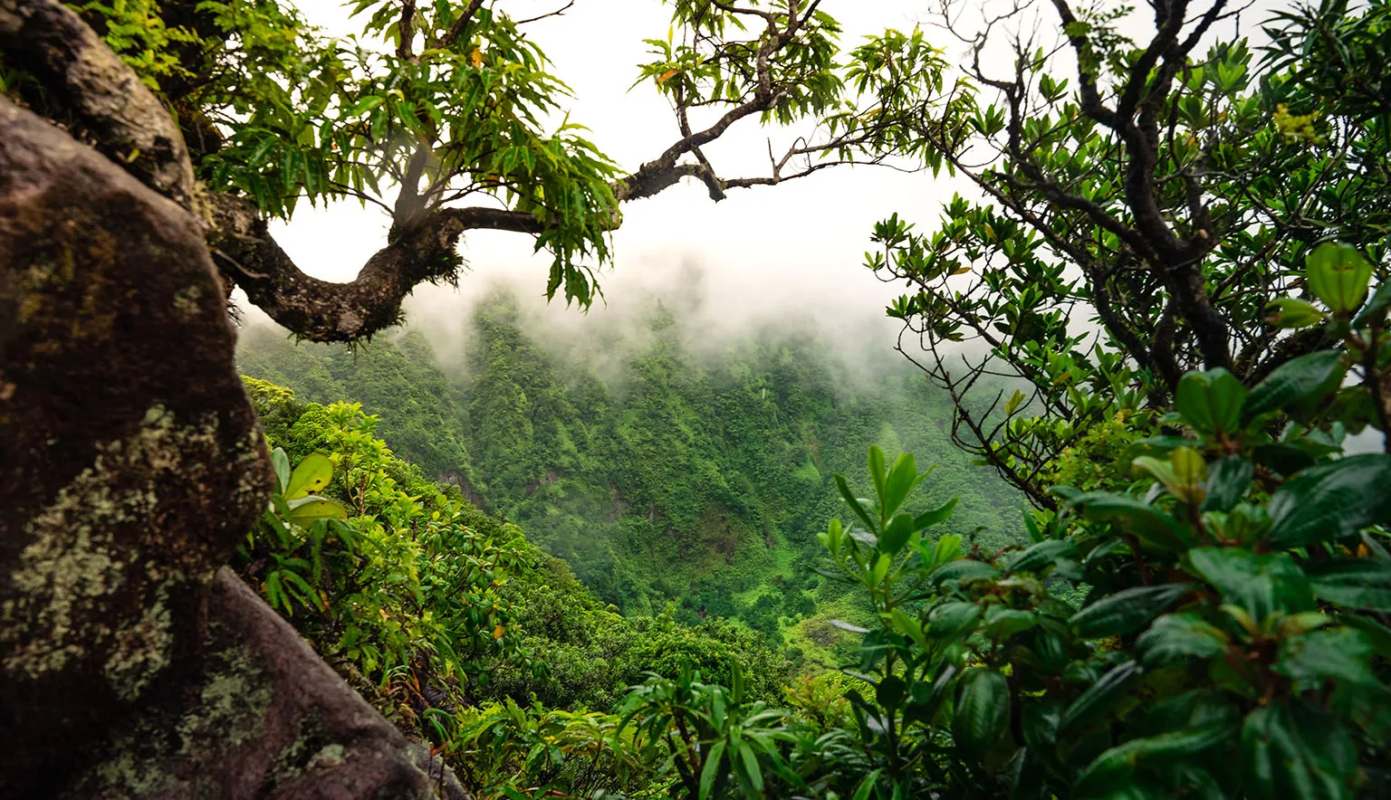 St Kitts Tourism Authority