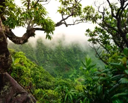 St Kitts Tourism Authority