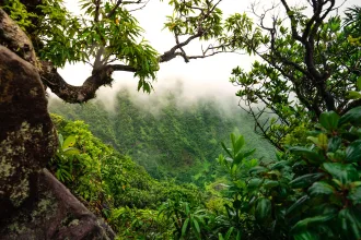 St Kitts Tourism Authority