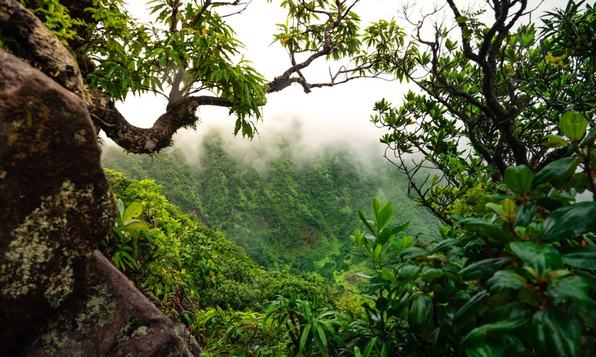 St Kitts Tourism Authority