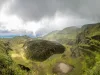 Forest in St. Vincent and the Grenadines