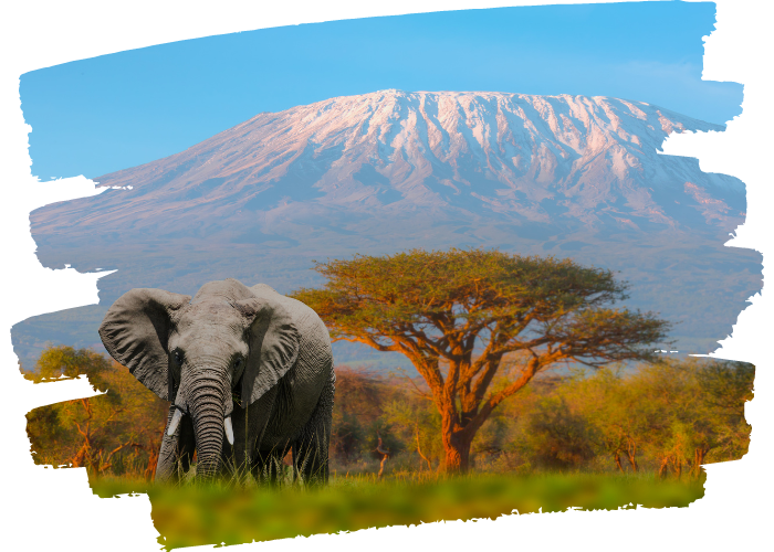 Tanzania Travel Guide