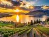 Sunset at Okanagan Lake near Penticton with vineyard