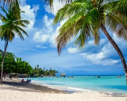 Pigeon Point Tropical Beach Tobago