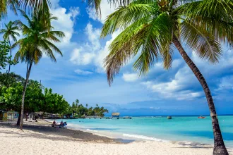 Pigeon Point Tropical Beach Tobago