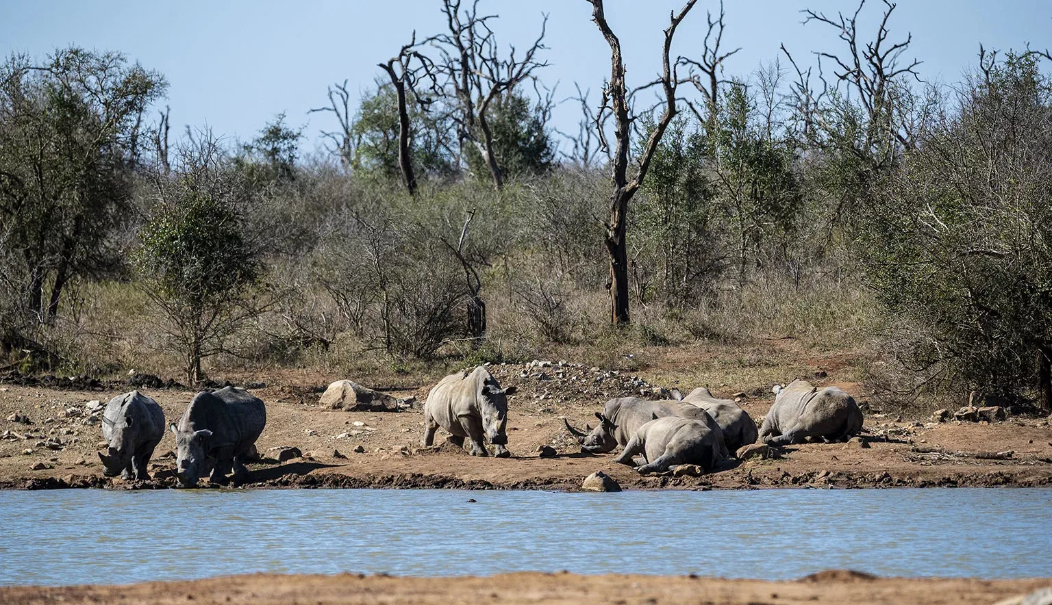 Hlane Royal National Park